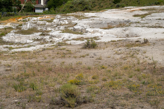 Opal Terrace, located across the road from the Mammoth Hot Springs Terraces, is a dried up hot spring