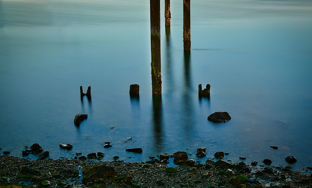Commencement Bay Decayed Pilings, Tacoma, WA