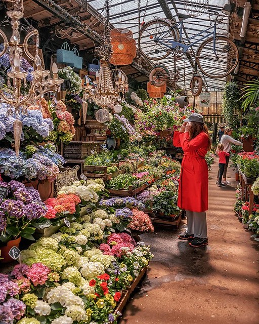 Marché Aux Fleurs flower market in France