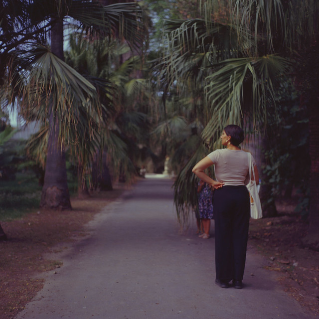 Orto Botanico x Palermo, Sicilia. (Film 120) | Exp. 11/2004 Kodak Pro. Ektachrome E100.