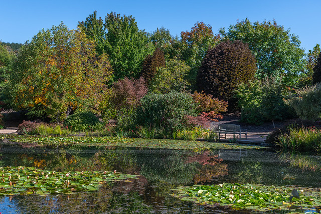 Autumn flora and fauna at Mayfield Garden