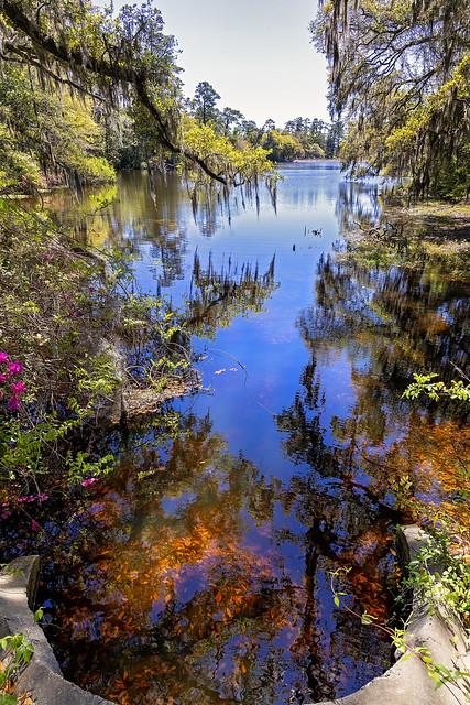 Airlie Gardens pond, Wilmington, NC