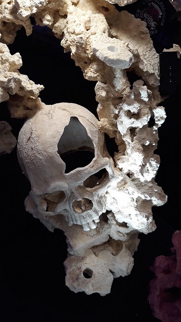 C-Rock skull