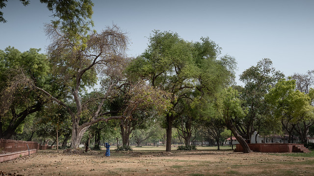 Gardens in the Red Fort // New Delhi India
