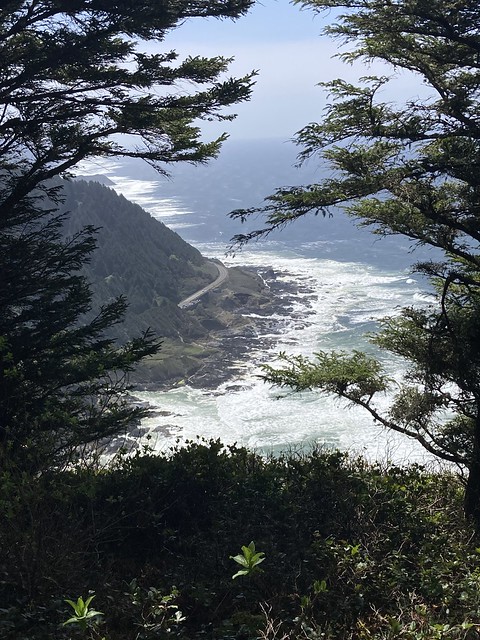 OR - Yachats - Cape Perpetua Scenic Area - Siuslaw National Forest