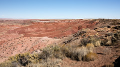The Painted Desert - Explore  (由  Ron Drew