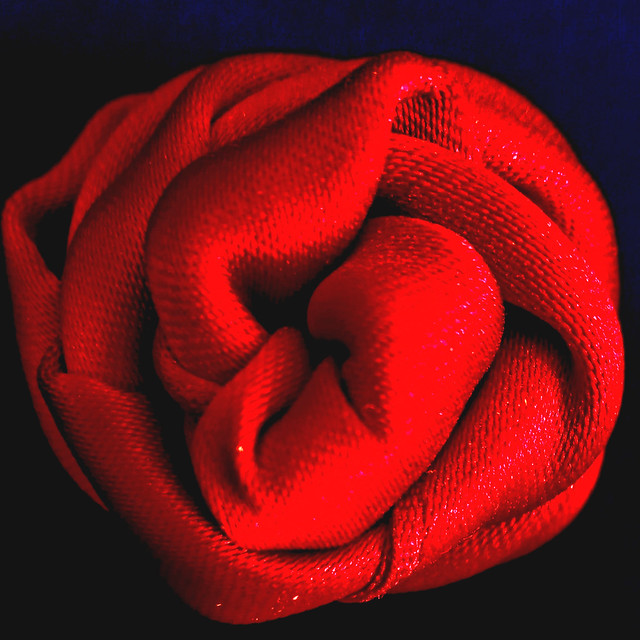 A Rose in Red Satin