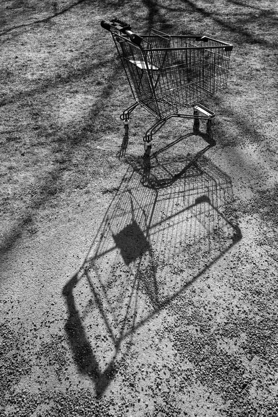 Abandoned cart