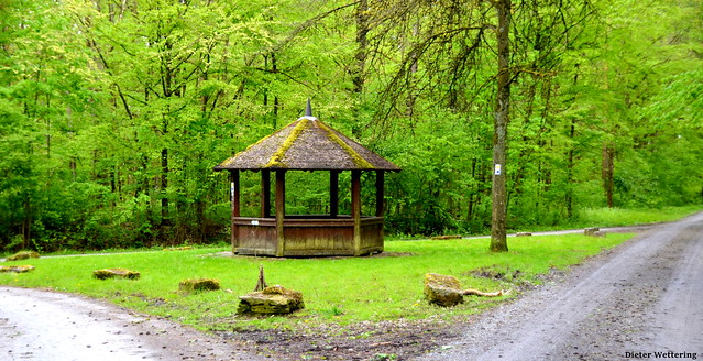 Wald-Pavillon