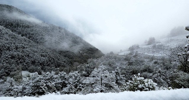 Neige, froid, vent par 0°C