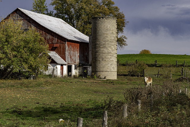 a barn, a silo, a horse - West Branch, Michigan