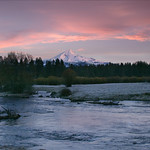Mt. Jefferson at sunrise with Metolius River, Oregon The Metolius River (pronounced muh TOLL ee us) is a tributary of the Deschutes River (through Lake Billy Chinook) in Central Oregon, near the city of Sisters.  The unincorporated community of Camp Sherman lies astride the southern end of the river. We were staying overnight in Camp Sherman at a great cabin. The name of the river comes from the Warm Springs or Sahaptin word mitula, meaning white salmon and referring to a light colored Chinook salmon.  The Metolius River flows 28.6 miles (46.0 km) from Metolius Springs through the Deschutes National Forest, emptying into Lake Billy Chinook and ultimately the Deschutes River.  We had a great view of Mt. Jefferson covered in snow.