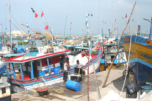 Harbour near Galle 2007
