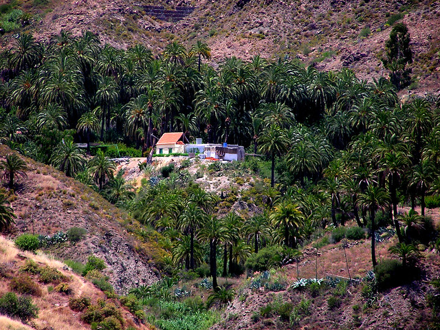 El Ingenio de Santa Lucia Barranco de Tirajana isla de Gran Canaria 160