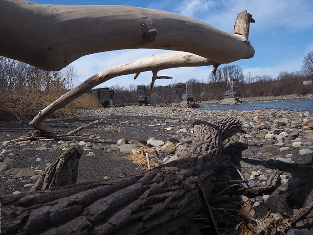 Driftwood on the banks of Scoharie Creek - Auriesevill, NY