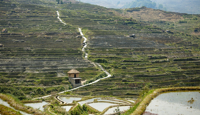 Rice Terraces of Ajeke