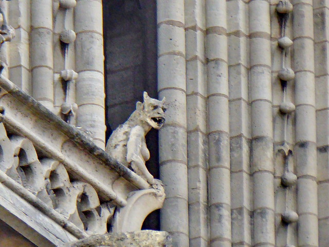 183 - Paris - Mars 2024 - les gargouilles de Notre-Dame de Paris