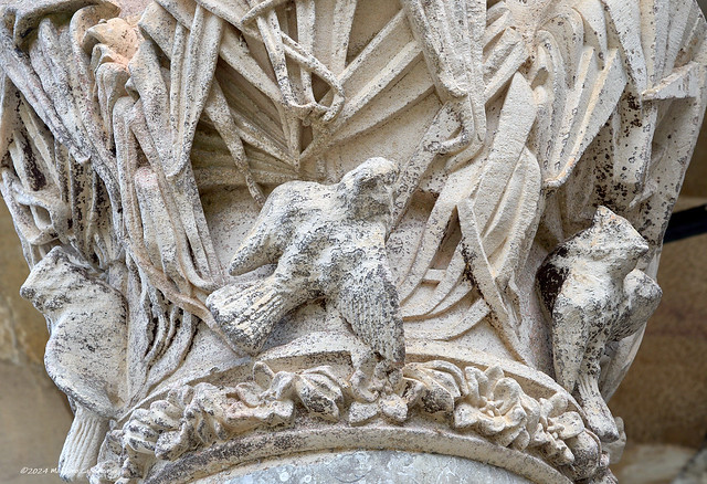 183.Capricho de Gaudì - nest building by larks