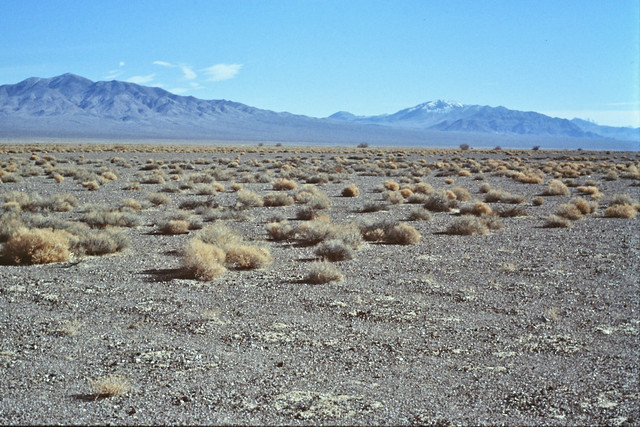 PICT1996 Nevada landscape