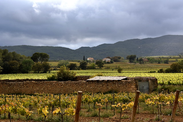 Vinyes de la Verna, Torrelles de Foix.