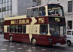 Irish City Tours 161-D-28005