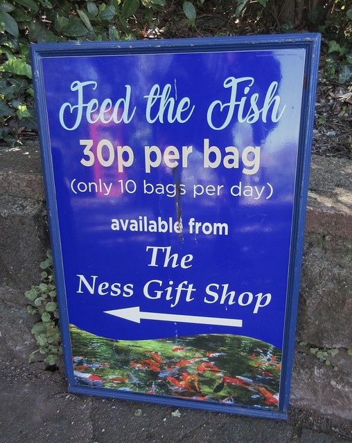 Shaldon Feed the Fish South Devon