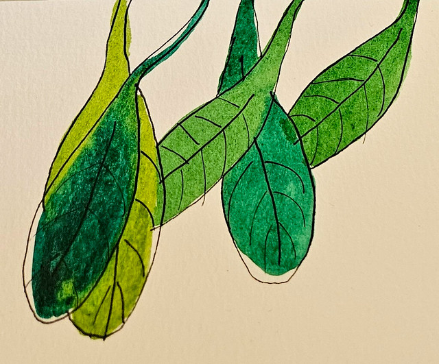 #drawing #watercolor #leaf #artwork #🎨 #🌿