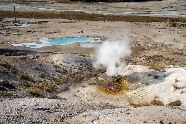 Steaming geyser erupts in Norris Geyser Basin in Yellowstone National Park