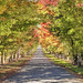 Buckland Autumn arches 2024-04-20 (R5_99A8843)
