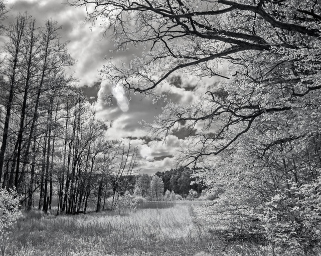 A little Walk with Infrared