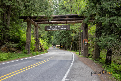 Mount Rainier National Park Entrance Sign 