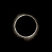 Totality #2, April 8, 2024 solar eclipse