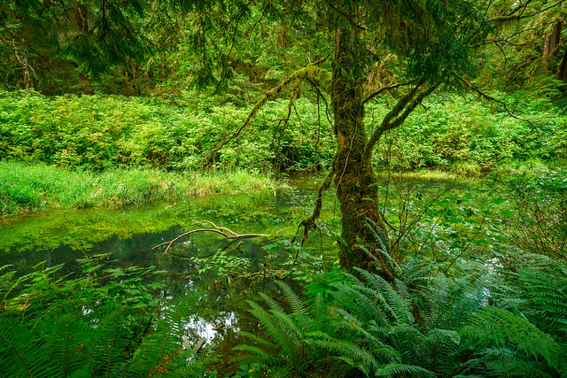 San Josef River, Cape Scott Provincial Park, Vancouver Island, BC