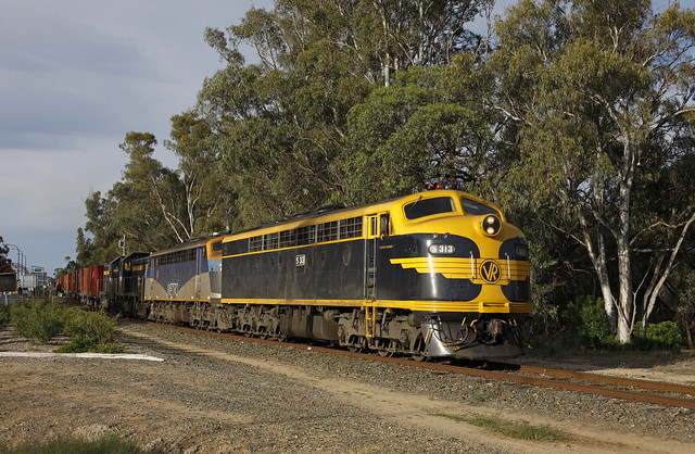 Steamrail Victoria S313 + CFCLA B76 + Steamrail Victoria T395 + Steamrail Victoria T364 drag QUBE's rice container train 9072 (Deniliquin - Melbourne) at Echuca (AU).