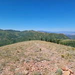 2023.08.13_14.06.15 Along the trail to Lookout Peak, Salt County, Utah.

