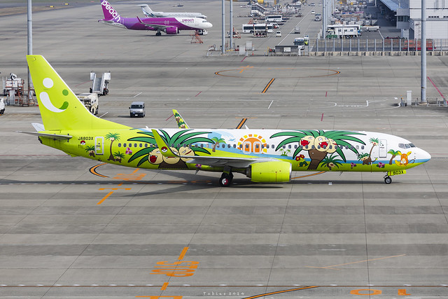 Solaseed Air | JA803X | Boeing 737-86N(WL) | Nagoya Chubu Centrair International Airport