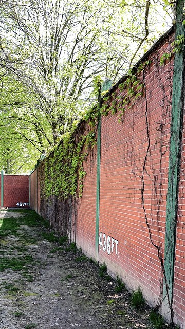 Remaining Outfield Walls of Forbes Field (Pittsburgh Pirates old stadium); Pittsburgh, Pennsylvania
