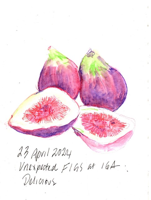 23Apr2024 figs