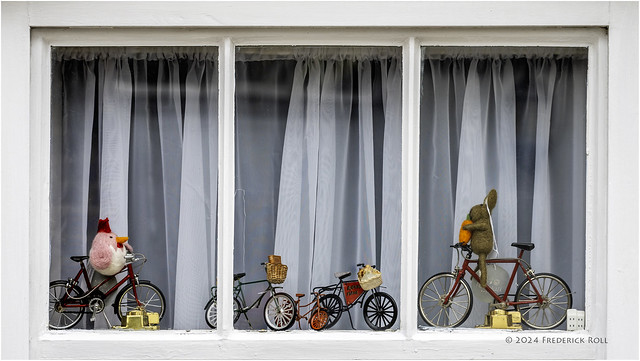 On Yer Bike! (a window dressing)