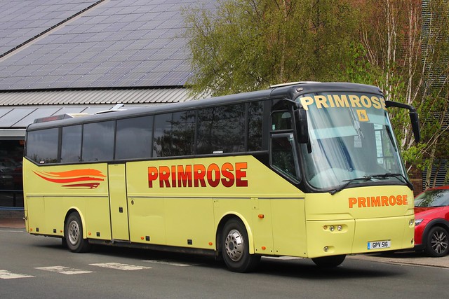 Primrose Coaches GPV 516