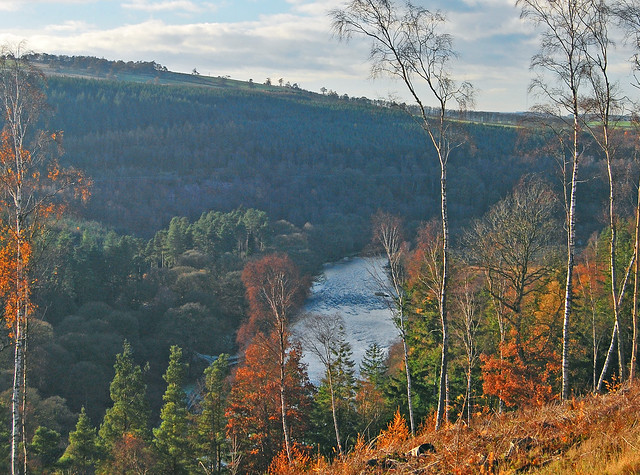 The Eden Way - Eden Gorge from Coombs Wood.