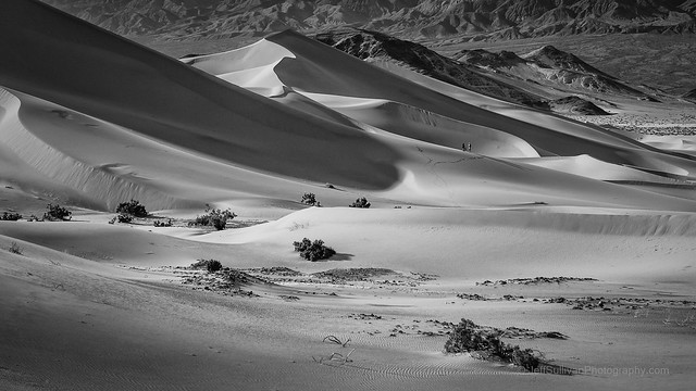 Photographing the Dunes