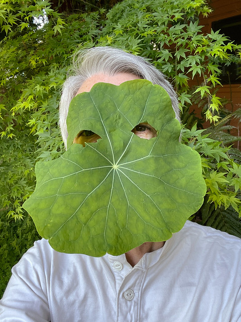 Leaf mask