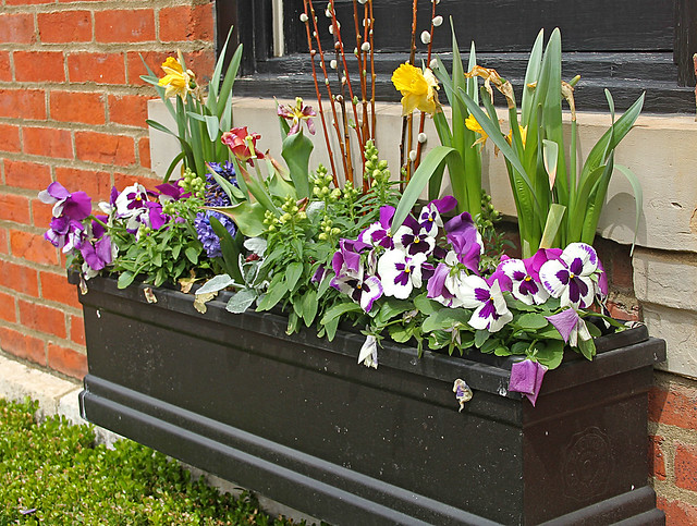 Colorful Flower Box