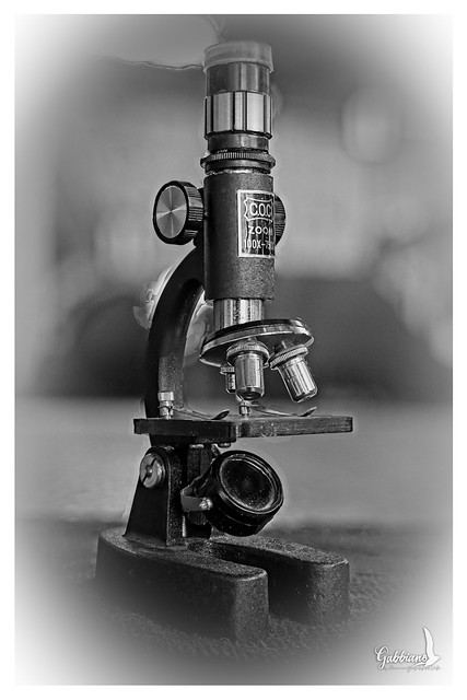 Microscopio óptico.