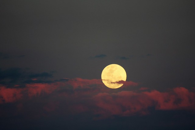 Baby moon above the clouds.