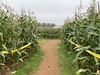 Noggins Corner Farm Corn Maze