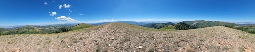 2023.08.13_14.06.40 Along the trail to Lookout Peak, Salt County, Utah.
