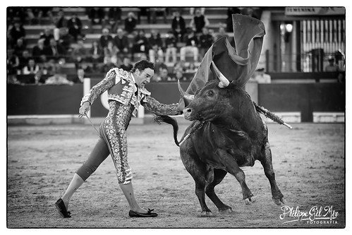 Zaragoza 23-04-2024 Toros de Ana Romero © Philippe Gil Mir