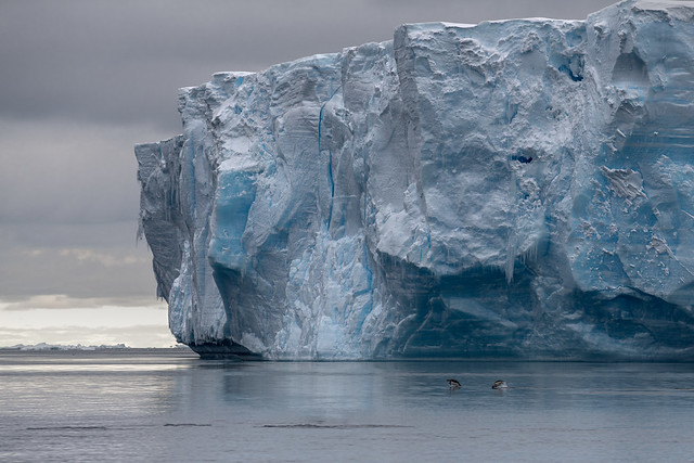 iceberg at Danger Islands